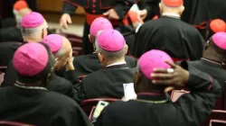Participants in the Vatican Synod Hall during the Synod on the Family in Oct. 2014. Credit: Daniel/Ibanez/CNA.