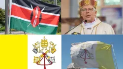 Credit: ACI Africa/Shutterstock