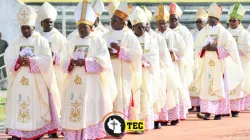 Members of the Tanzania Episcopal Conference (TEC). Credit: Tanzania Episcopal Conference (TEC)