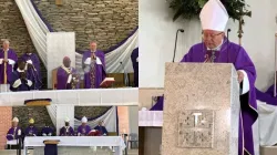 Archbishop Henryk Mieczysław Jagodziński. Credit: SACBC