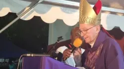 Pietro Cardinal Parolin. Credit: Pemba Diocese