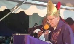Pietro Cardinal Parolin. Credit: Pemba Diocese