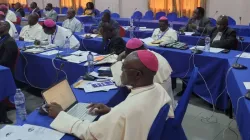 Members of the Association of Episcopal Conferences of Central Africa (ACEAC). Credit: Diacenco