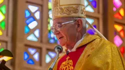 Stephen Cardinal Brislin. Credit: SACBC