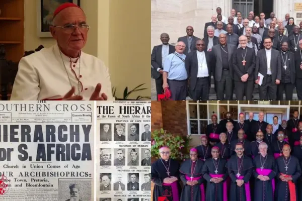 Stephen Cardinal Brislin. Credit: SACBC