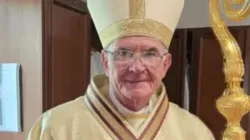 Stephen Cardinal Brislin. Credit: ACI Africa