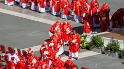 Cardinals process during the funeral of Pope Francis at St. Peter’s Square, Saturday, April 26, 2025. | Credit: Bénédicte Cedergren/EWTN News
