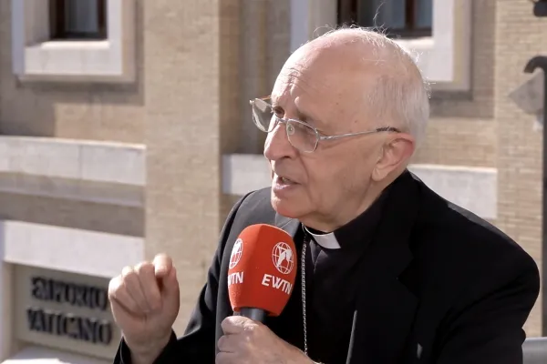 Pope Leo XIV's Papal Name Points to "clear vision of the Church" amid Turbulance: Italian Cardinal Elector