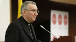 Cardinal Pietro Parolin. / Daniel Ibanez/CNA
