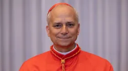 Cardinal Robert Francis Prevost. / Credit: Credit: Daniel Ibañez/CNA