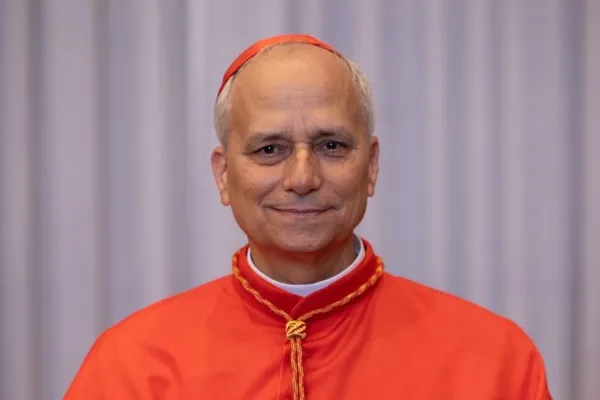 Who is Pope Leo XIV? A Bio of the First American Pope