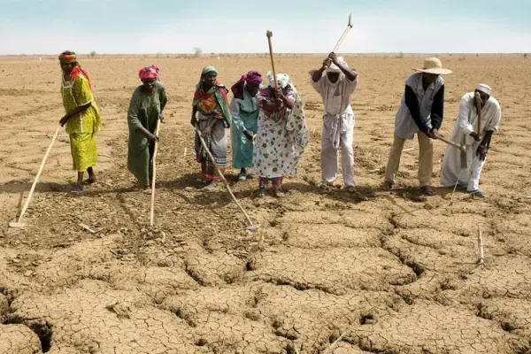 Drought has plagued East Africa for over five years.. Credit: Caritas Internationalis