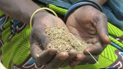 Credit: Lisa Krebs/Caritas Switzerland