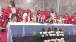 Archbishop Giovanni Gaspari during during the Thanksgiving Mass to mark the belated 10th anniversary of the election of Pope Francis as Pope. Credit: Radio Ecclesia