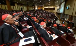 Cardinals meet with Pope Leo XIV in the third session of the consistory on Jan. 8, 2025, at the Vatican. | Credit: Vatican Media
