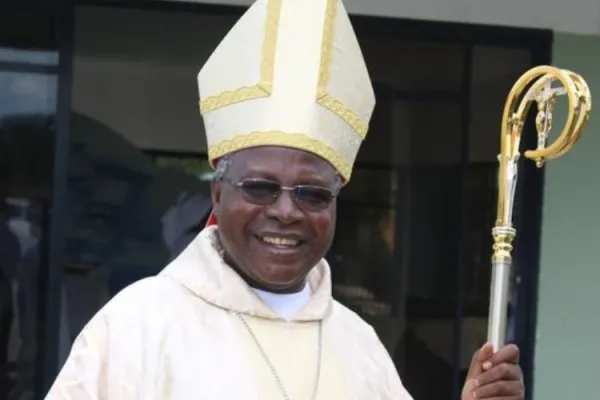 Pope Francis Erects New Metropolitan See in Zambia, Appoints Pioneer Local Ordinary