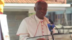 Peter Kodwo Appiah Cardinal Turkson. Credit: ACI Africa