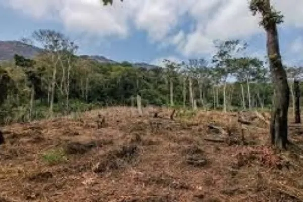 Over 400 Villages in Angola Targeted in 40-Year Catholic Project to Boost Food Production