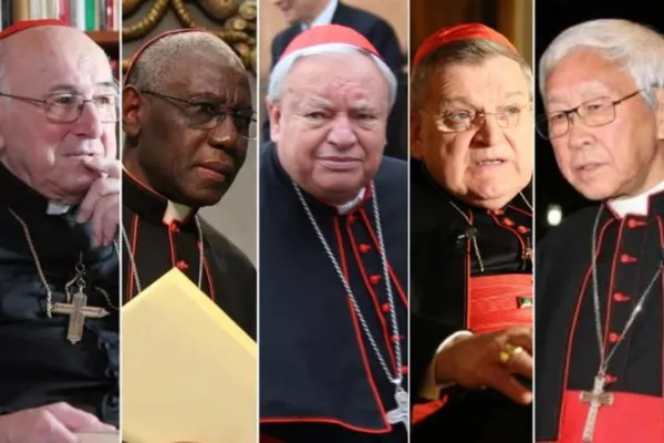 The Five Cardinals Behind the Latest Dubia Issued to Pope Francis
