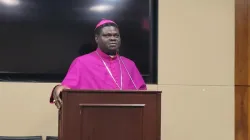 Bishop Wilfred Anagbe of the Nigerian Diocese of Makurdi in Benue state at a breakfast at Capitol Hill organized by Aid to the Church in Need, Jan. 30, 2024. / Credit: Peter Pinedo/CNA