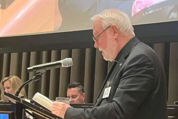 Vatican Rejects "false solutions such as abortion" While Defending Women’s Equality at UN