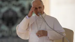Pope Leo XIV gives his apostolic blessing at the end of the general audience in St. Peter’s Square on Nov. 12, 2025. / Credit: Daniel Ibanez/CNA