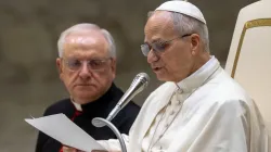 Pope Leo XIV speaks during the general audience in the Vatican’s Paul VI Hall on Jan. 28, 2026. | Credit: Daniel Ibanez/EWTN News