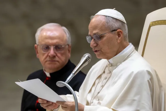 Pope Leo XIV speaks during the general audience in the Vatican’s Paul VI Hall on Jan. 28, 2026. | Credit: Daniel Ibanez/EWTN News