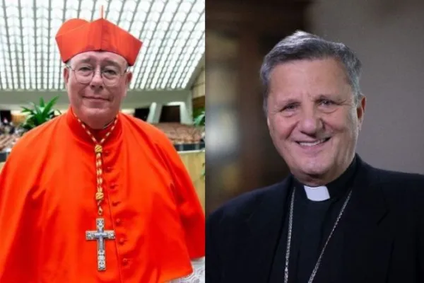 Synod organizers Tell Continental Assemblies not to "impose an agenda" on Discussions