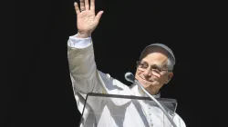 Pope Leo XIV greets pilgrims gathered in St. Peter’s Square at the Vatican for the recitation of the Angelus on Dec. 28, 2025. / Credit: Vatican Media