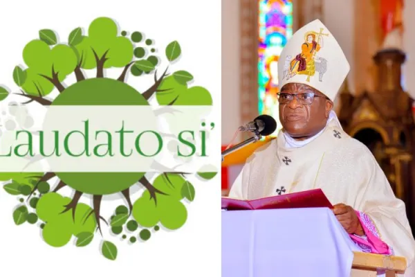 Reflecting on 10 Years of Laudato Si: Uganda’s Kampala Catholic Archdiocese, Partners Plan Workshop