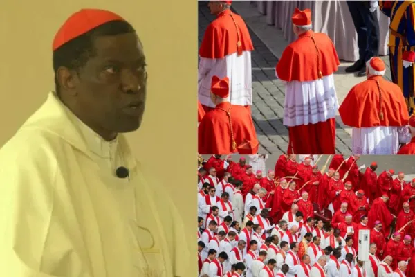 Tanzanian Cardinal Calls for Spiritual Closeness with Cardinals ahead of Selection of New Pope