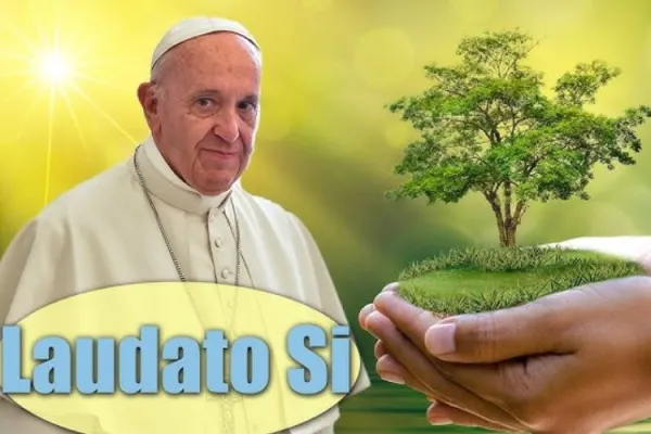 Catholic Environmentalist in Kenya Lauds Growth of Global Movement Birthed from Pope Francis’ Laudato Si’ Document