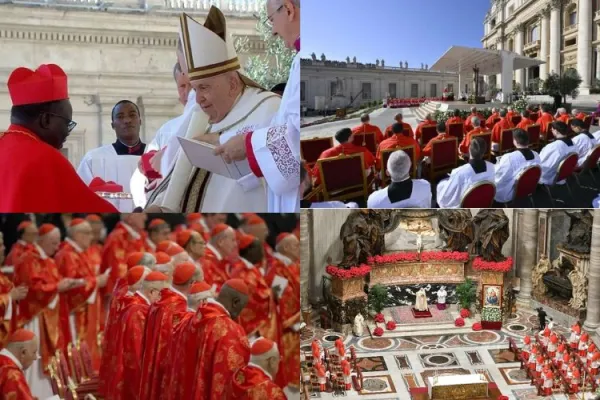 Awe-inspiring Backgrounds: Meet the 19 Africa’s Cardinals Pope Francis Created in His 12-Year Pontificate