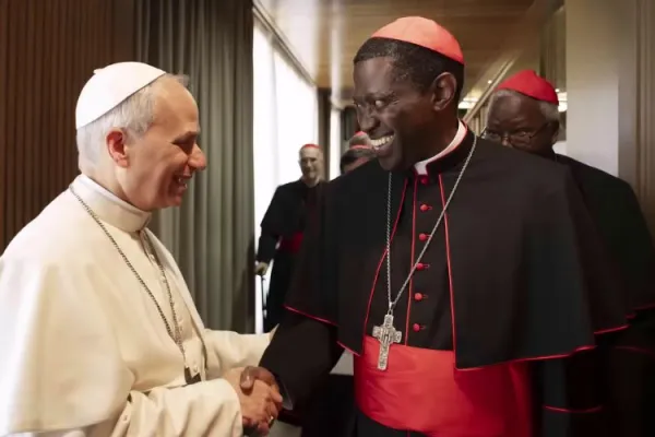 Tanzania’s Cardinal Elector Recalls Pope Leo XIV’s Appeal for Unity, Collaboration to Realize Successful Papacy