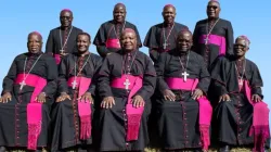 Members of the Malawi Conference of Catholic Bishops (MCCB). Credit: MCCB