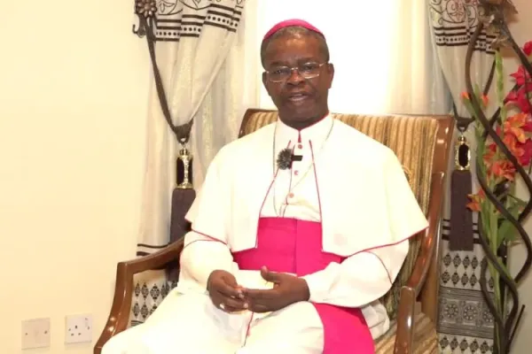 Vatican Official Proposes Creation of “missionary welcome centres” in the West for Incoming African Priests