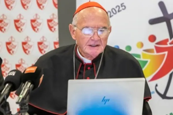 Reports of Alleged South Africa’s Police Minister Links to Criminal Gangs “deeply unsettling”: Catholic Bishops