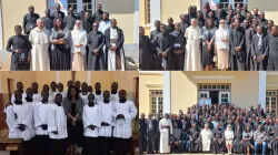 Credit: Sheila Pires