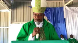 Bishop Pio Hipunyati of the Catholic Diocese of Ondjiva in Angola. Credit: Catholic Diocese of Ondjiva