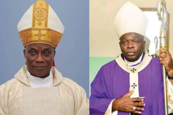 Pope Francis Accepts Retirement of Nigerian Bishop, Appoints Apostolic Administrator