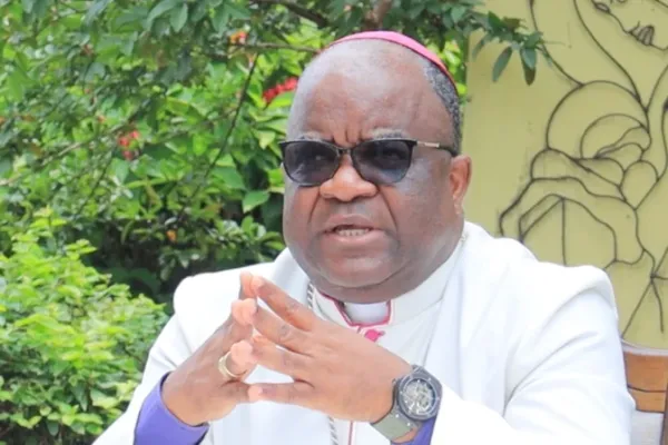 "It was a miracle that more newborns didn't die": Goma Catholic Bishop on Violence in Eastern DR Congo