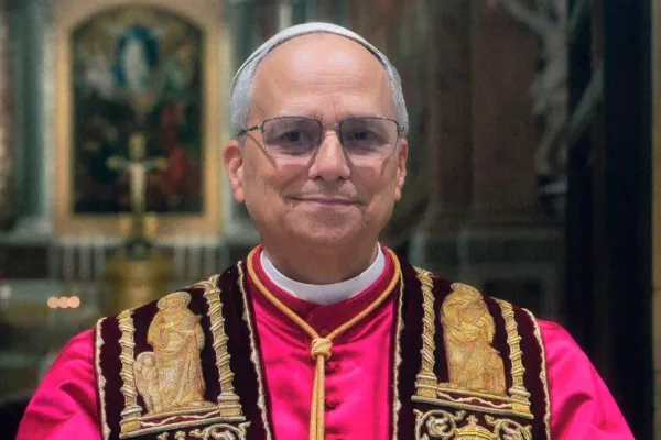 Pope Leo XIV Embraces Elements of Francis’ Vision; Some Views Still Unclear