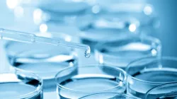 null / Credit: science photo/Shutterstock