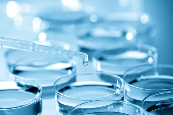 Catholic Bioethicist Weighs in on Scientific Effort to Create Life from Scratch