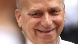Pope Leo XIV greets the faithful in Piazza della Libertà in August 2025. / Credit: Marco Iacobucci Epp/Shutterstock