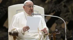 Pope Francis addresses pilgrims gathered in the Paul VI Audience Hall for his Wednesday general audience on Jan. 15, 2025, at the Vatican. / Credit: Vatican Media