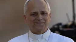 The Holy Father in a new Italian-language book states that faith “unites us beyond our personalities, our cultural and geographical origins.” / Credit: Daniel Ibáñez/EWTN News