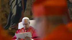 Pope Leo XIV presides over the first ordinary public consistory of cardinals of his pontificate on June 13, 2025, at the Apostolic Palace in the Vatican. / Credit: Vatican Media