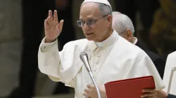 Pope Leo XIV gives a blessing during a meeting with participants in the Jubilee of Eastern Churches on May 14, 2025, in the Paul VI Audience Hall at the Vatican. / Credit: Vatican Media